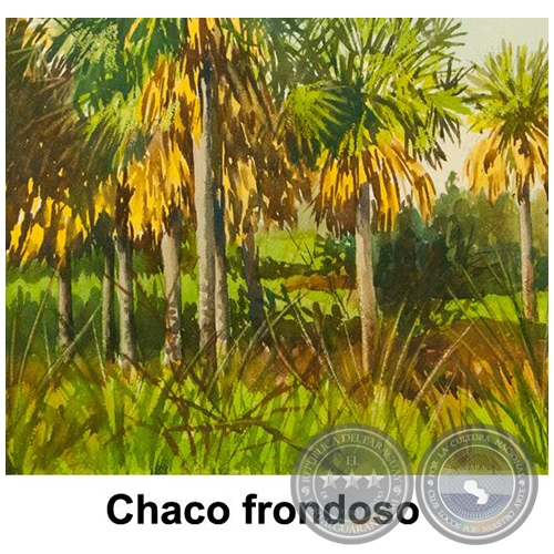 Chaco frondoso - Obra de Emili Aparici